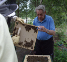 Olle J, en erfaren biodlare hjlper ngra elever att borsta bort snlla bin